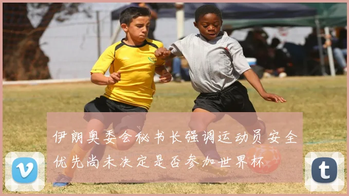 伊朗奥委会秘书长强调运动员安全优先尚未决定是否参加世界杯