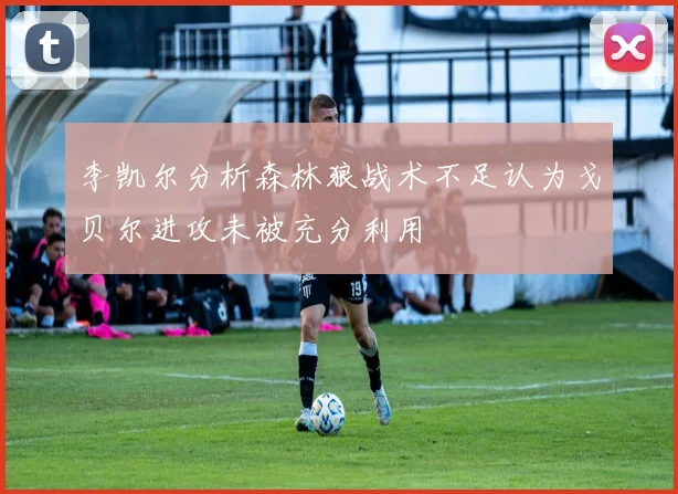 李凯尔分析森林狼战术不足认为戈贝尔进攻未被充分利用
