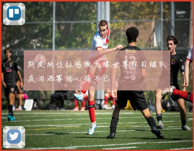 斯皮纳佐拉感慨无缘世界杯目睹队友泪洒赛场心痛不已